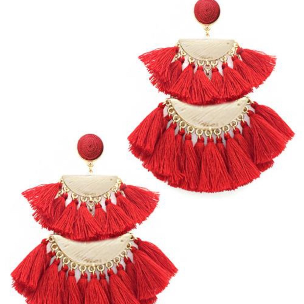Fashion Earrings